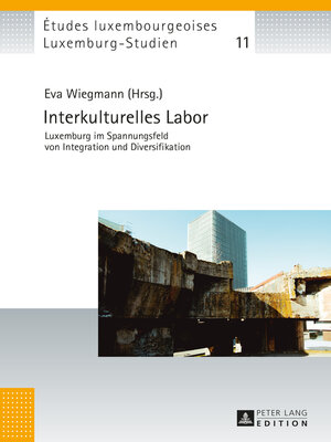 cover image of Interkulturelles Labor